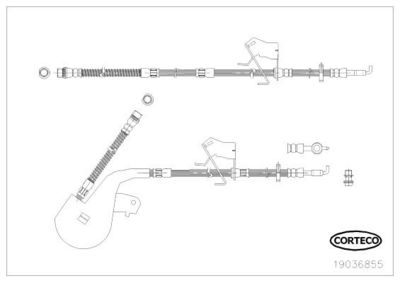 Bremžu šļūtene CORTECO 19036855