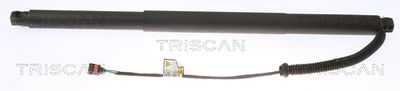 Gāzes atspere, Bagāžas/Kravas nodalījuma vāks TRISCAN 8710 29304