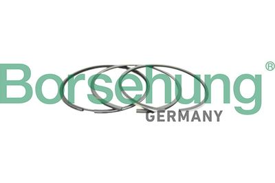 Комплект поршневых колец Borsehung B10366