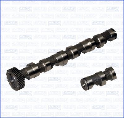 Sadales vārpsta AJUSA 93157400