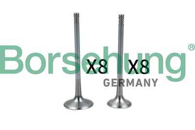 Впускной клапан BORSEHUNG B18637