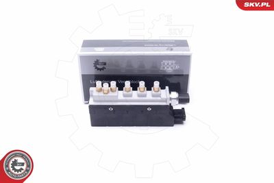 Vārsts, Pneimatiskā sistēma ESEN SKV 93SKV802