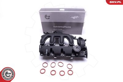 Крышка головки цилиндра ESEN SKV 48SKV072