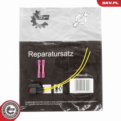 ESEN SKV 53SKV267 Vadu remkomplekts, Iesmidzināšanas
