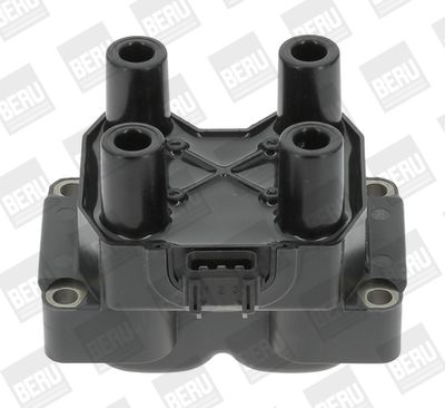 Катушка зажигания BorgWarner (BERU) ZS300