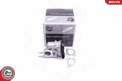Клапан возврата ОГ ESEN SKV 14SKV215