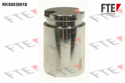 Поршень, корпус скобы тормоза FTE 9313253