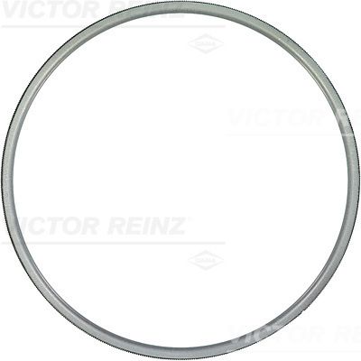 Blīve, Motora bloka galva VICTOR REINZ 61-23405-00