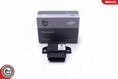 Vadības bloks, Degvielas sūknis ESEN SKV 96SKV213
