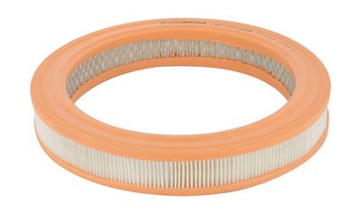 Gaisa filtrs CHAMPION CAF100155R