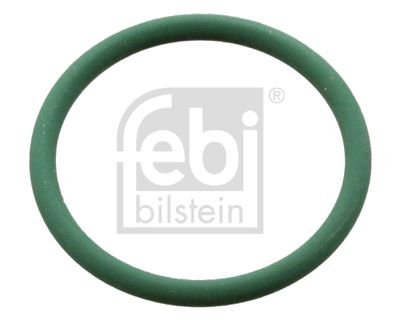 Blīvgredzens FEBI BILSTEIN 106610