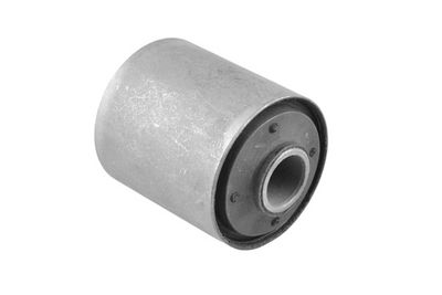 Piekare, Lokšņu atspere TEDGUM 00220344