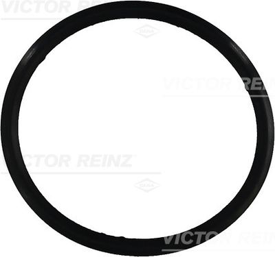 Blīve, Motora bloka galvas vāks VICTOR REINZ 71-31649-00