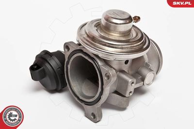 Клапан возврата ОГ ESEN SKV 14SKV026