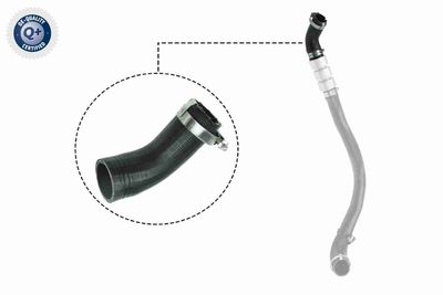 Pūtes sistēmas gaisa caurule VAICO V25-1037