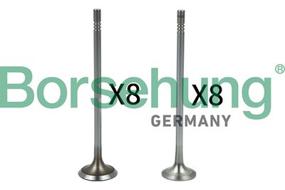  BORSEHUNG B18632