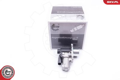 Клапан возврата ОГ ESEN SKV 14SKV170