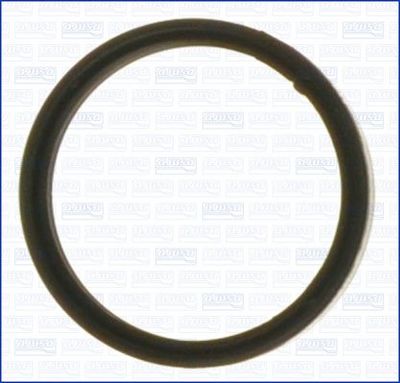 Blīve AJUSA 00843800
