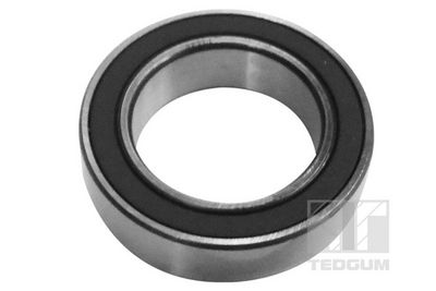 Подшипник, приводной вал TEDGUM 00726311