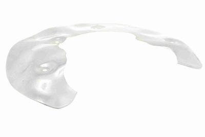 Dubļu sargs, Bremžu disks VAICO V10-5066