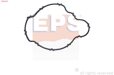 Прокладка, термостат EPS 1.890.739