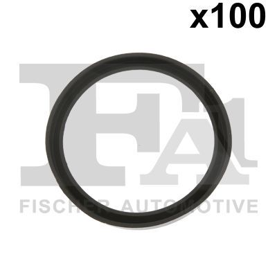Blīvgredzens FA1 076.531.100
