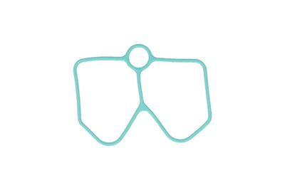 Прокладка, впускной коллектор KAMOKA 8704240