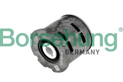 Piekare, Tilta sija BORSEHUNG B10042