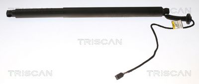 Gāzes atspere, Bagāžas/Kravas nodalījuma vāks TRISCAN 8710 27303