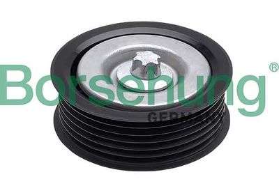 Parazīt-/Vadrullītis, Ķīļrievu siksna Borsehung B12574