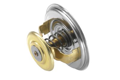 Termostats, Dzesēšanas šķidrums BorgWarner (Wahler) 4520.75