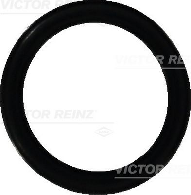 Уплотнительное кольцо VICTOR REINZ 40-76473-00