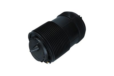 Pneimoatspere, Balstiekārta KAMOKA 2079014