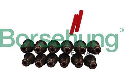 Уплотнительное кольцо, стержень клапана Borsehung B12508