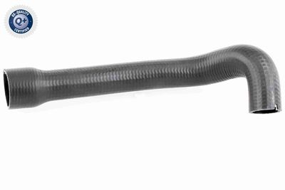 Pūtes sistēmas gaisa caurule VAICO V24-0719