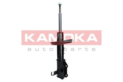  KAMOKA 2000049