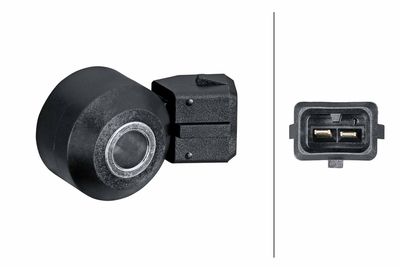 Detonācijas devējs HELLA 6PG 013 114-771