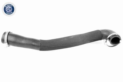 Трубка нагнетаемого воздуха VAICO V251043