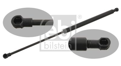 Gaasivedru, pagasi-/veoruum FEBI BILSTEIN 29290