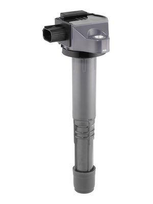 Aizdedzes spole BorgWarner (BERU) ZSE308