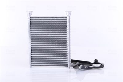 Siltummainis, Salona apsilde NISSENS 707214