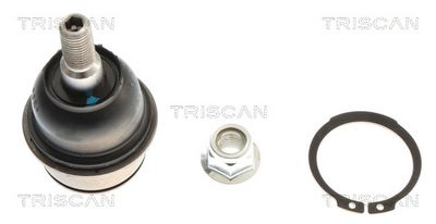 Balst-/Virzošais šarnīrs TRISCAN 850 080 540