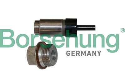 Spriegotājs, Piedziņas ķēde Borsehung B1T023