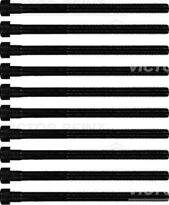 Комплект болтов головки цилидра VICTOR REINZ 14-10213-01