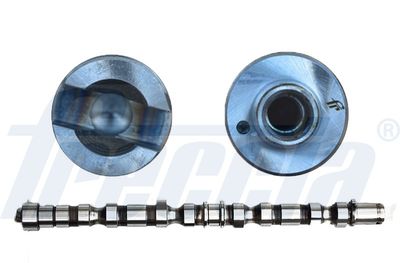 Sadales vārpsta FRECCIA CM05-2186