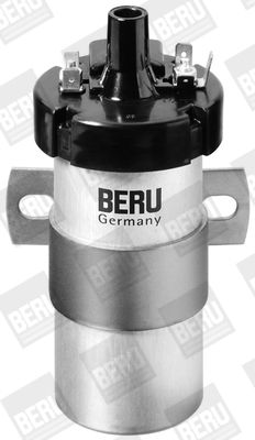 Aizdedzes spole BorgWarner (BERU) ZS123