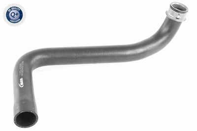 Шланг радиатора VAICO V10-4336