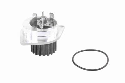 Ūdens sūknis, dzinēja dzesēšana VAICO V22-50009