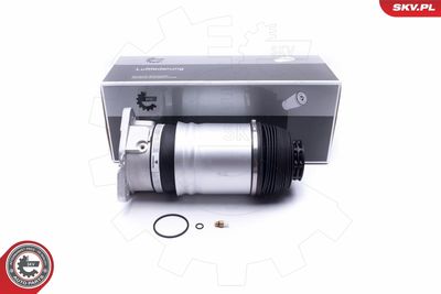 Опора пневматической рессоры ESEN SKV 58SKV068