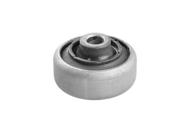 Piekare, Šķērssvira TEDGUM 00167907